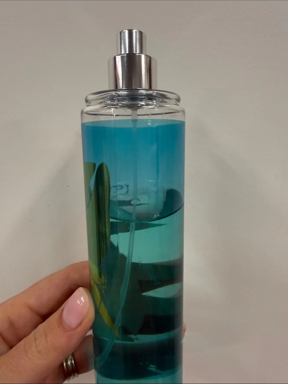 Bath & Body Works Rainkissed Leaves Fragrance Mist